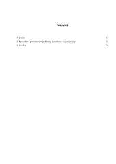 Sprendimų priėmimas bei problemų sprendimas organizacijoje