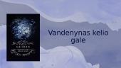 Knyga "Vandenynas kelio gale"