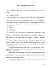 Sprendimų priėmimas: eiga ir metodai 20 puslapis