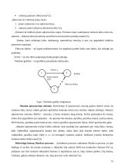 Sprendimų priėmimo eiga ir metodai 13 puslapis