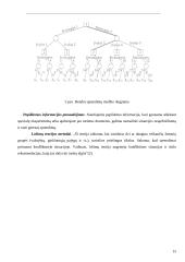 Sprendimų priėmimo eiga ir metodai 15 puslapis