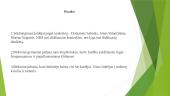 Geriausių Lietuvos krepšininkų sklaida pasaulyje ir jų sėkmes vertinimas 13 puslapis