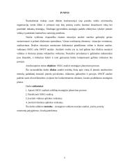 SSGG analizė 2 puslapis