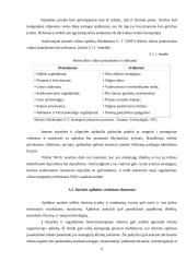 SSGG analizė 6 puslapis