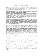 Statyba Baltarusijoje 2 puslapis