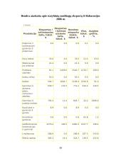 Statyba Baltarusijoje 13 puslapis