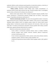 Statybos projekto valdymas 11 puslapis