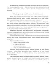 Statybos projekto valdymas 16 puslapis