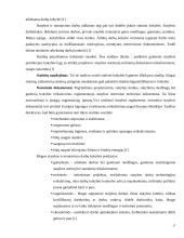 Statybos projekto valdymas 17 puslapis