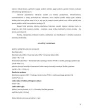 Statybos projekto valdymas 20 puslapis