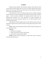 Statybų įmonės pelningumo rodikliai: UAB "Rudesta" 2 puslapis