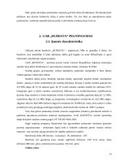 Statybų įmonės pelningumo rodikliai: UAB "Rudesta" 13 puslapis