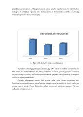 Statybų įmonės pelningumo rodikliai: UAB "Rudesta" 17 puslapis