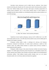 Statybų įmonės pelningumo rodikliai: UAB "Rudesta" 20 puslapis