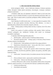 Statybų įmonės pelningumo rodikliai: UAB "Rudesta" 3 puslapis