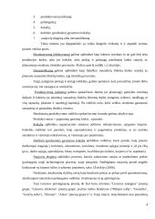 Statybų įmonės pelningumo rodikliai: UAB "Rudesta" 4 puslapis