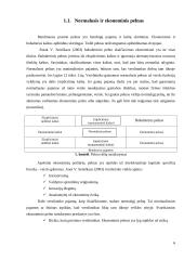 Statybų įmonės pelningumo rodikliai: UAB "Rudesta" 6 puslapis