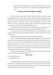 Statybų įmonės pelningumo rodikliai: UAB "Rudesta" 7 puslapis