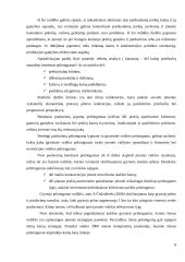 Statybų įmonės pelningumo rodikliai: UAB "Rudesta" 8 puslapis