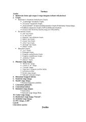 Stogo dangų rūšys 2 puslapis