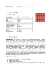 Stogo dangų rūšys 12 puslapis