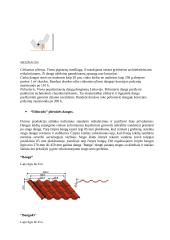 Stogo dangų rūšys 18 puslapis
