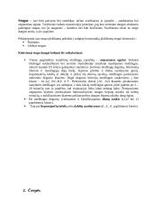 Stogo dangų rūšys 4 puslapis