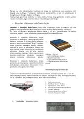 Stogo dangų rūšys 5 puslapis