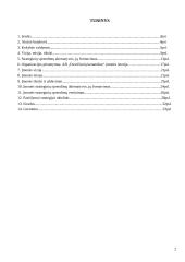 Strategijos kūrimas 2 puslapis