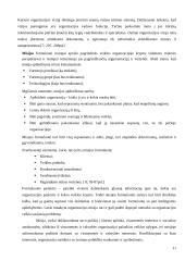 Strategijos kūrimas 11 puslapis