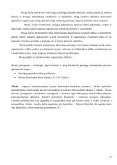 Strategijos kūrimas 12 puslapis