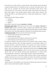 Strategijos kūrimas 13 puslapis