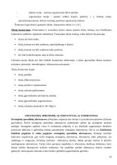 Strategijos kūrimas 14 puslapis