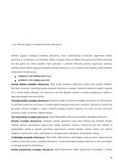 Strategijos kūrimas 16 puslapis