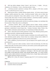 Strategijos kūrimas 20 puslapis