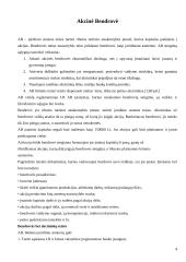 Strategijos kūrimas 4 puslapis