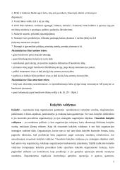 Strategijos kūrimas 5 puslapis