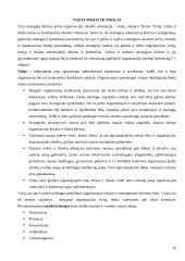 Strategijos kūrimas 10 puslapis