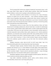 Struktūriniai ekonomikos pokyčiai Lietuvoje 12 puslapis