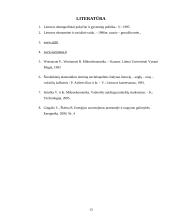 Struktūriniai ekonomikos pokyčiai Lietuvoje 13 puslapis