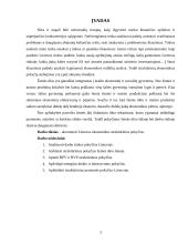 Struktūriniai ekonomikos pokyčiai Lietuvoje 3 puslapis