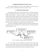 Struktūriniai ekonomikos pokyčiai Lietuvoje 4 puslapis