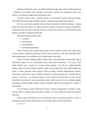 Struktūriniai ekonomikos pokyčiai Lietuvoje 6 puslapis