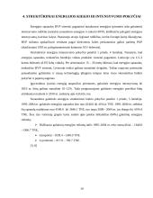 Struktūriniai ekonomikos pokyčiai Lietuvoje 10 puslapis