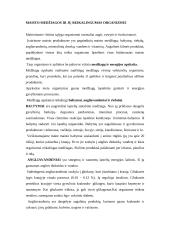 Maisto medžiagos ir jų reikalingumas organizmui 2 puslapis