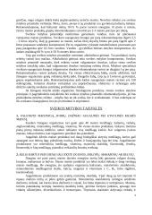 Sveika mityba ir jos įpročių ugdymas 4 puslapis