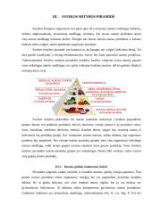 Sveikos mitybos derinimas 6 puslapis