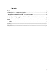 Vaikų užimtumo problemos 2 puslapis