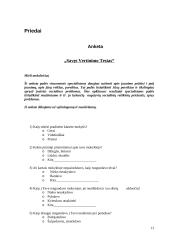 Vaikų užimtumo problemos 13 puslapis