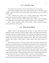 Sveikatos ir aplinkos samprata ir reikšmė 11 puslapis